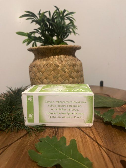 SAVON ANTISEPTIQUE ANTI TACHE 